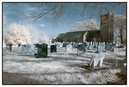 DSC_0025_Edit