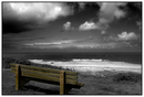 _DSC0700_Edit